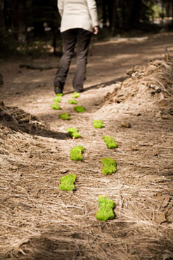 Reduce Carbon Emissions